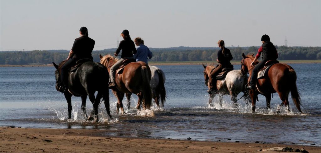 Gruppe reitet durch flaches Wasser am See